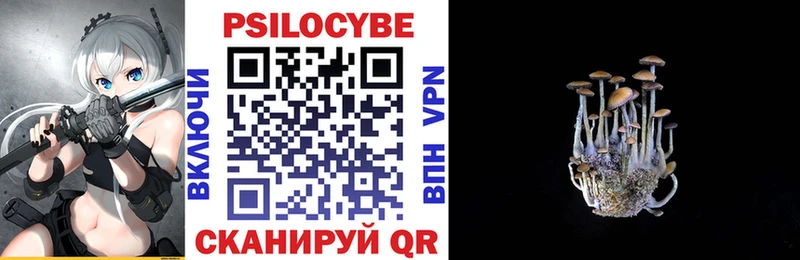 Псилоцибиновые грибы мухоморы  где продают наркотики  Сальск 